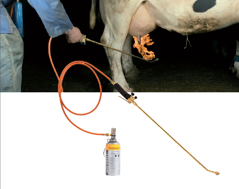 Thermischer Euterenthaarer