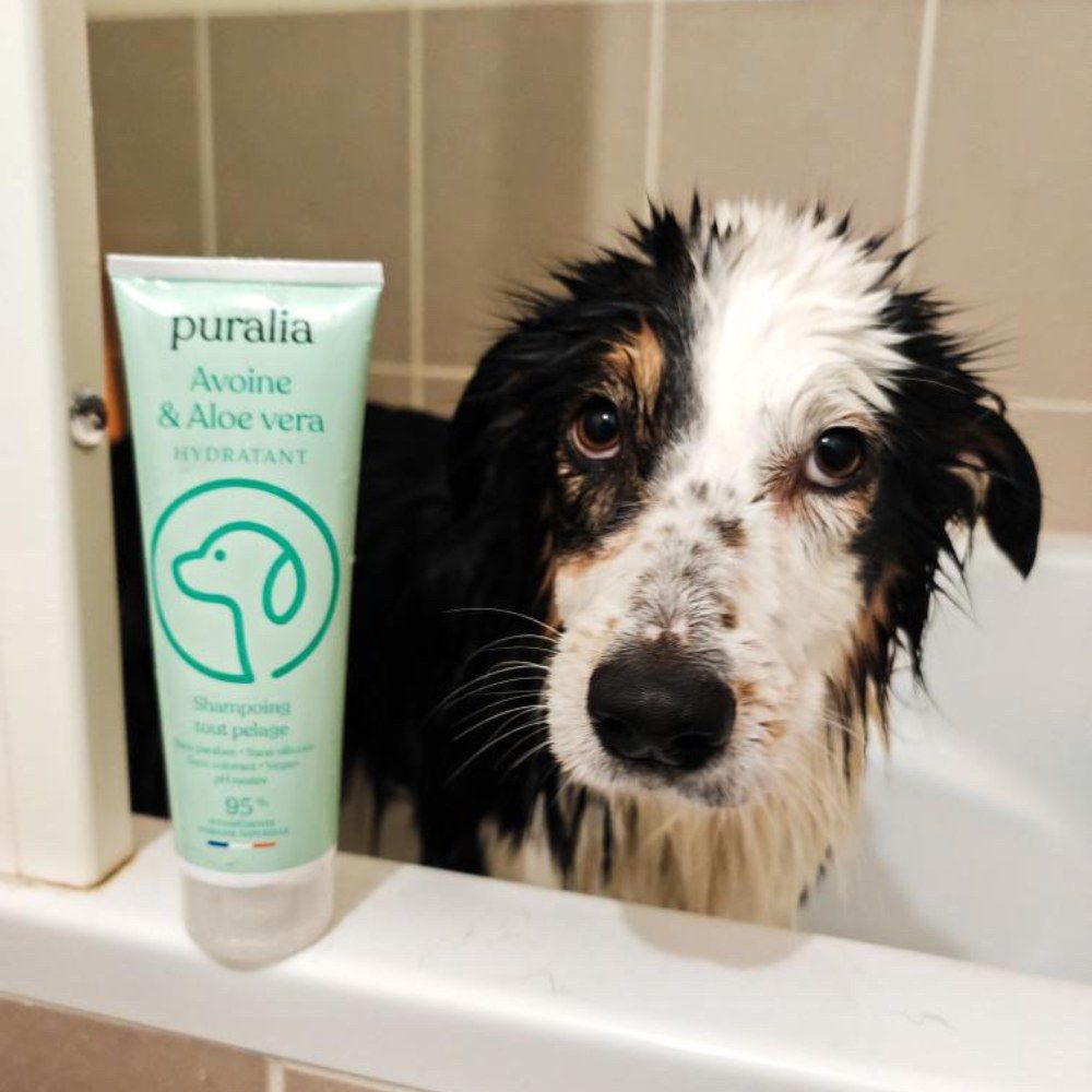  Shampoing tout pelage 250 ml PURALIA