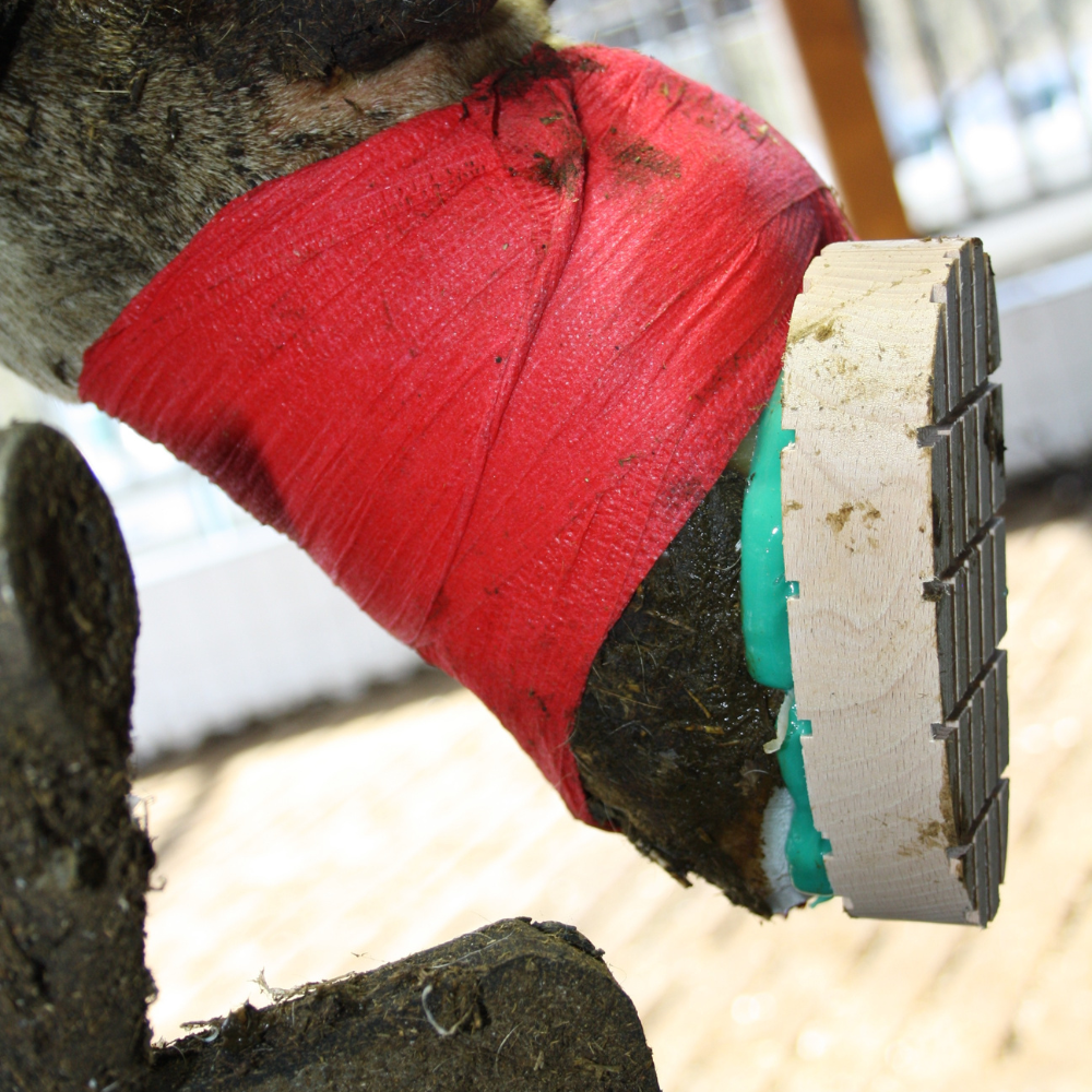 BLOCK BOND Adhesive hoof care - 200 ml in bulk