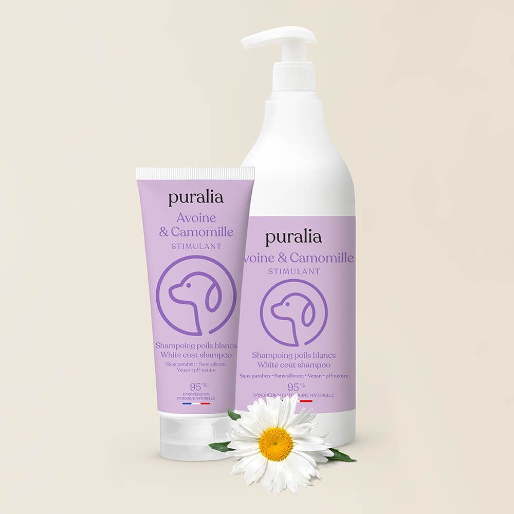  Shampoing poils blancs 1L PURALIA