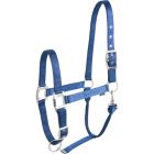 EQUITHÈME “Éclat” blue headcollar for Thoroughbred 