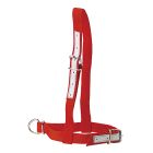 Licol en nylon rouge pour vache
