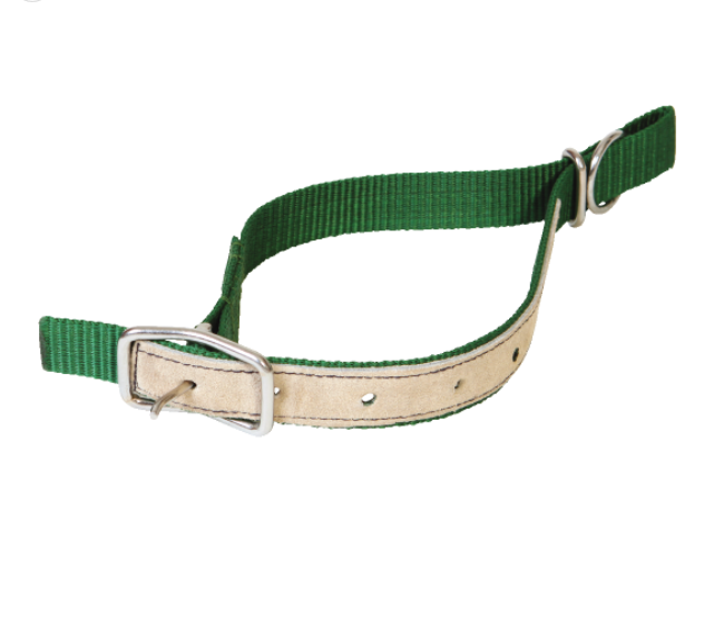 Nylon collar for sheep Ukal