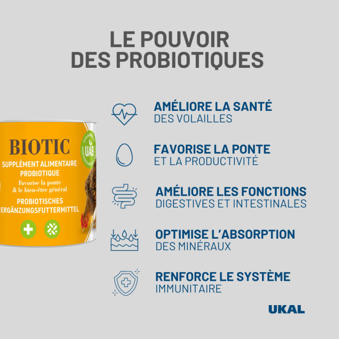 Supplément alimentaire à base de probiotiques pour volailles CHICK'A 360g