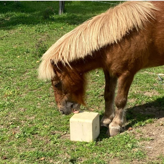 Mineral lick block with biotin and vitamin E 10 kg IMIMA