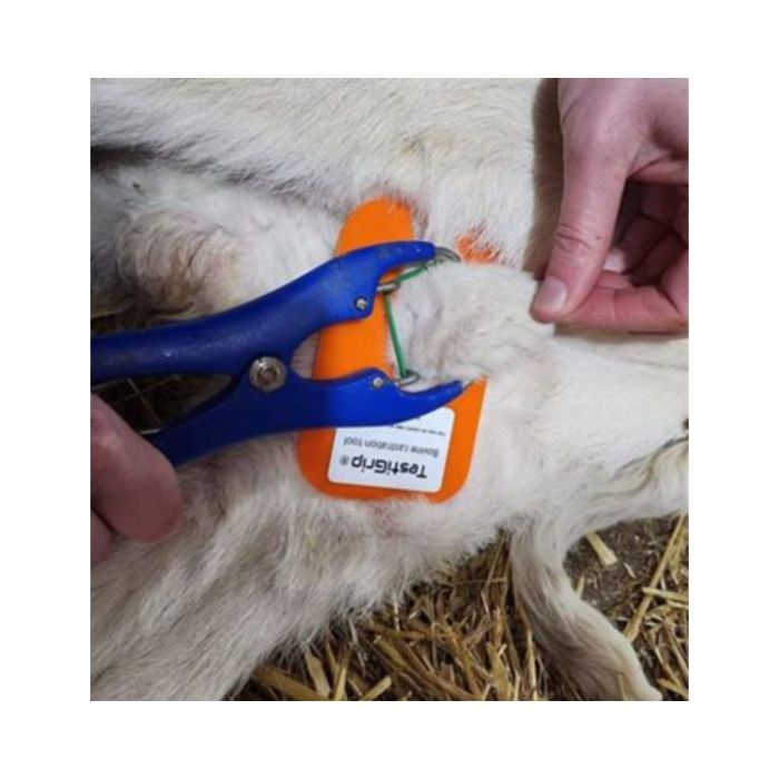 Testi grip pour veaux UKAL