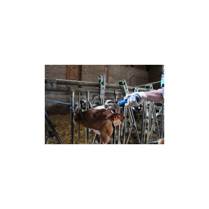 Enthornungsgerät NETHORN 