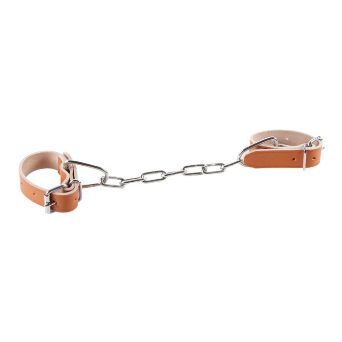 Leather hobble with chain