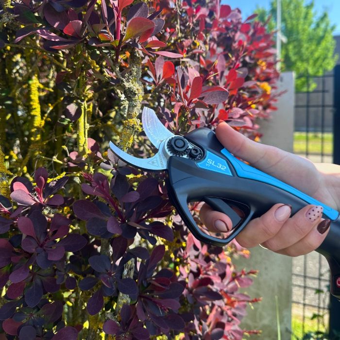 Automatic electric garden shears CAMPAGNOLA