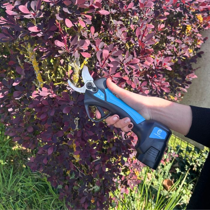 Automatic electric garden shears CAMPAGNOLA