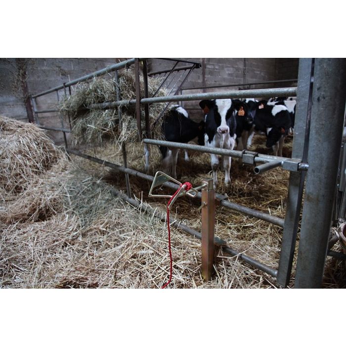 Kopfhalterung Für Schafe Und Rinder