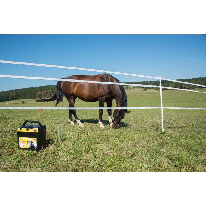 Dual energiser RANGER AN2000 HORIZONT 