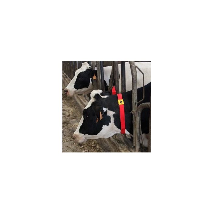 10 Plastic identification sleeves no.1