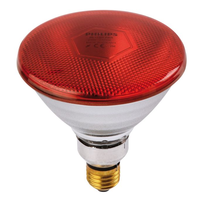 Philips IR/PAR light bulb 100 W - Red