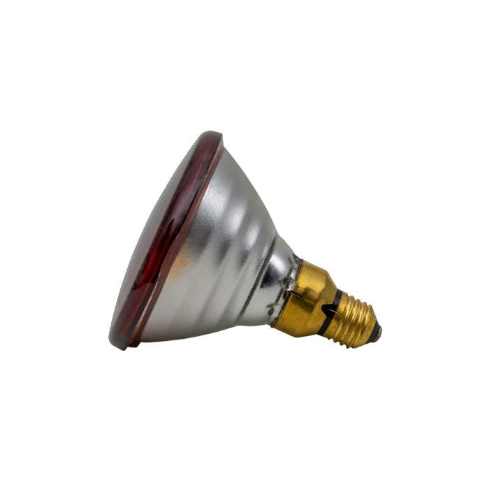 Red infrared lamp PAR 100 W
