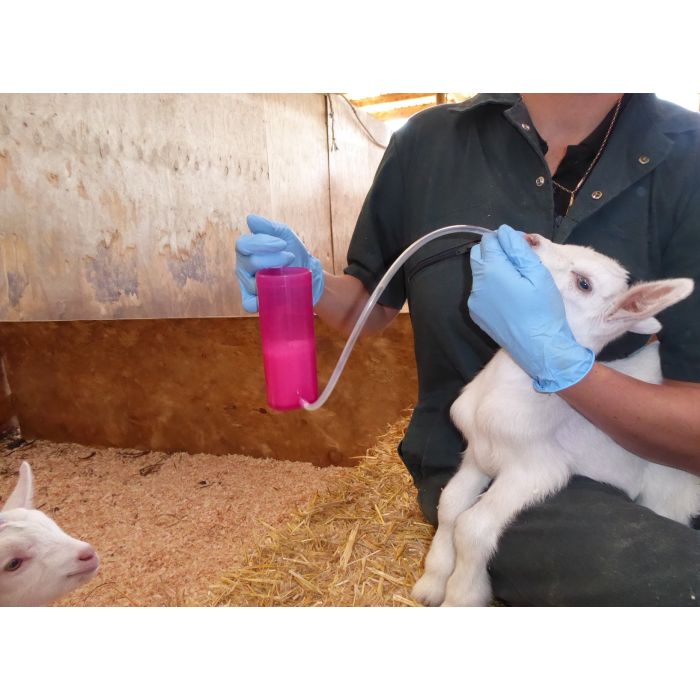 Rehydrierer Für Den Lamm