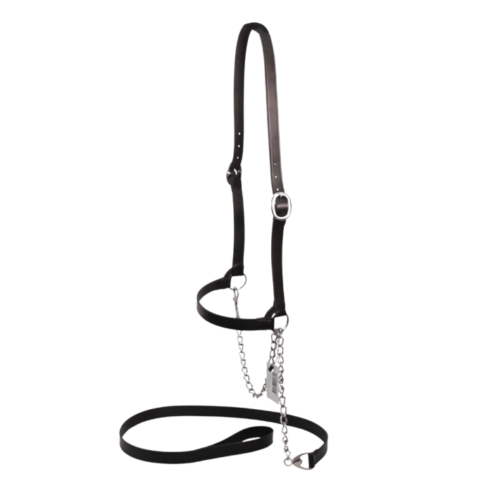 American black leather halter for dairy cows KAMER