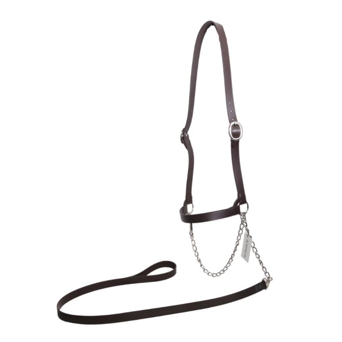  American brown leather halter for dairy cows KAMER