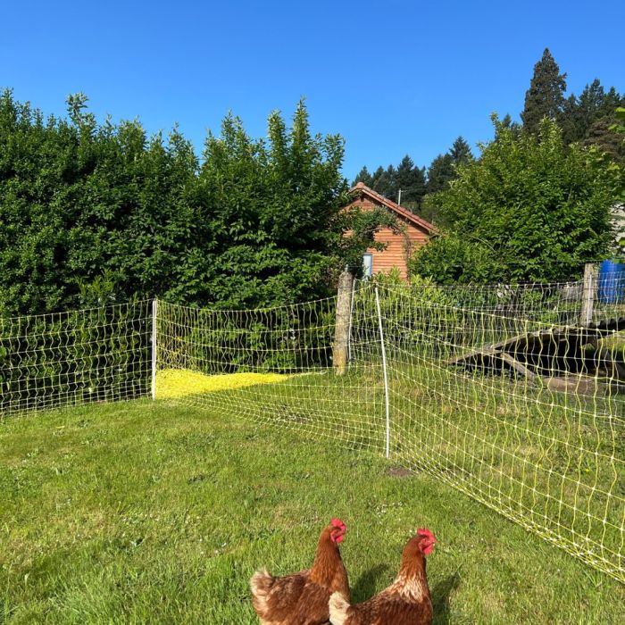 Geflügelnetz 1,12M 50m BEAUMONT