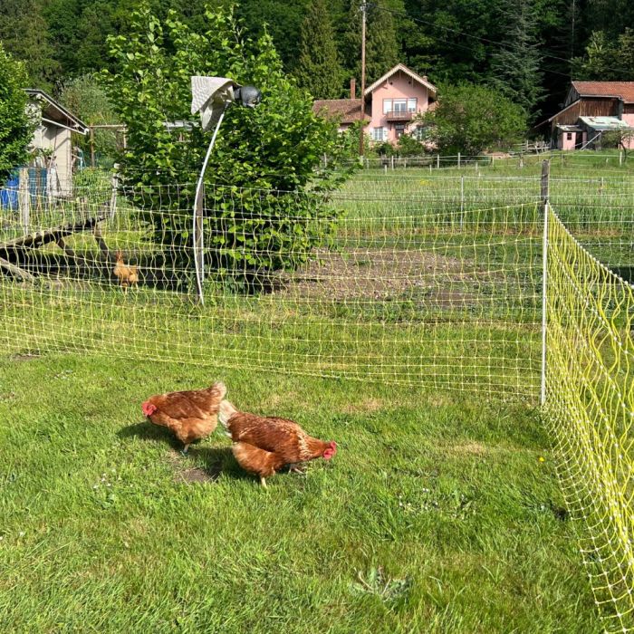 Geflügelnetz 1,12M 50m BEAUMONT