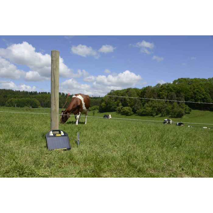 horizont 12 V Solar Weidezaungerät - farmer® AS50