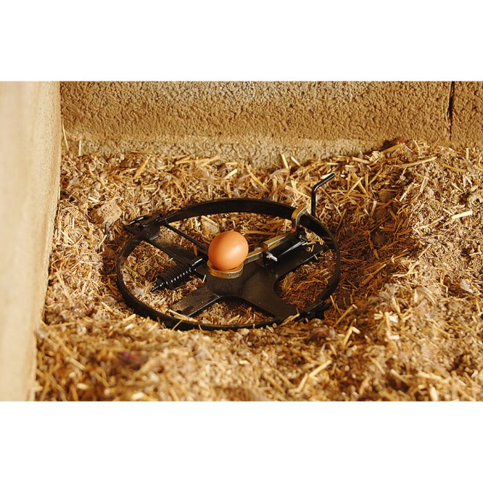 Piège à œuf pour fouine et mustélidé, 25 cm - Ukal