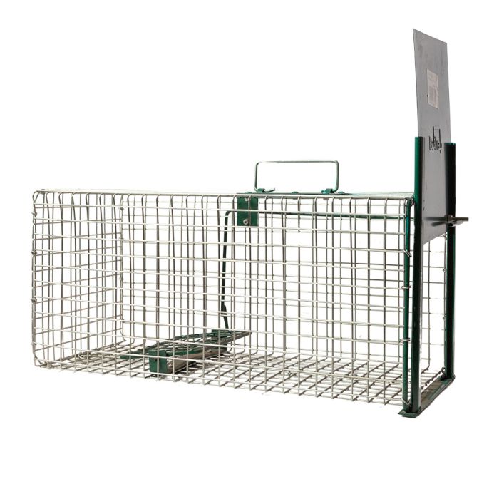 Cage à rats 1 entrée, 49 x 22 x 23 cm BOXTRAP