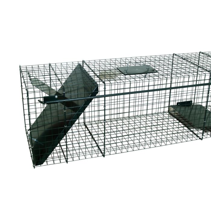 Waschbärfalle 1 Eingang, 100 x 30 x 30 cm BOXTRAP