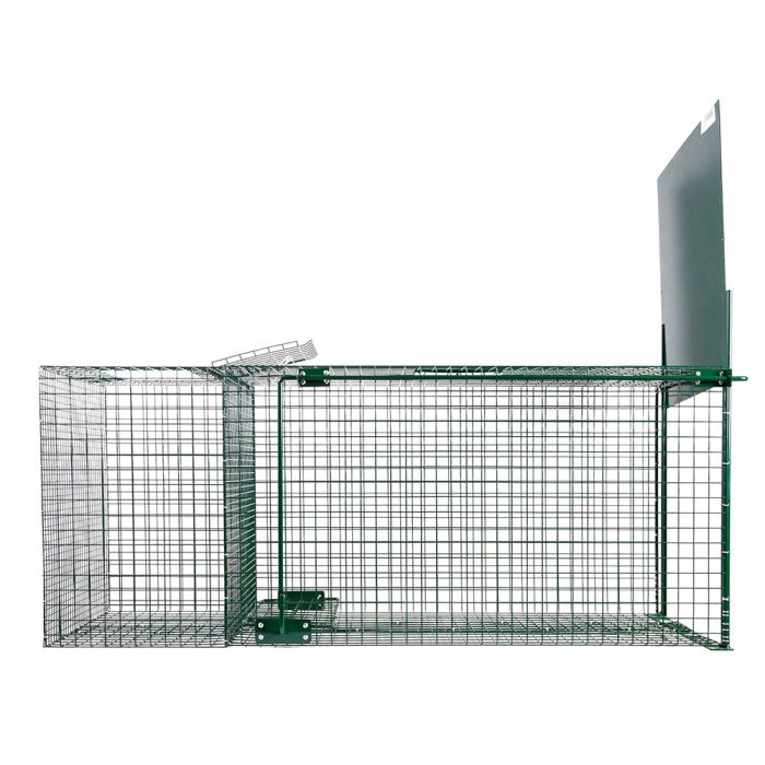 Raubtierfalle 1 Eingang, 127 x 36 x 47 cm BOXTRAP