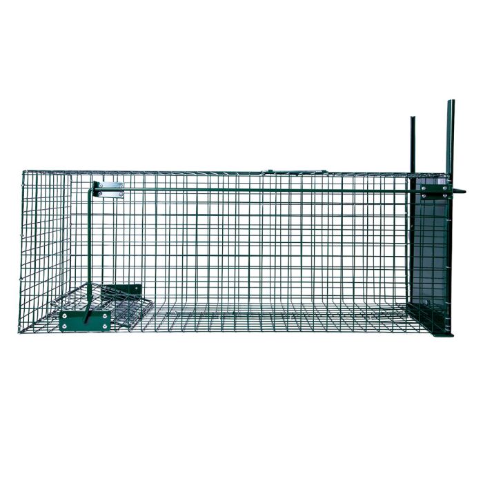  Boîte à fauve 1 entrée, 82 x 32 x 31 cm BOXTRAP