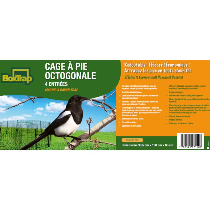 Octogonal magpie trap BOXTRAP
