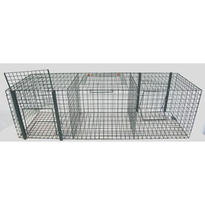 Piège à oiseaux, 3 compartiments - BOXTRAP