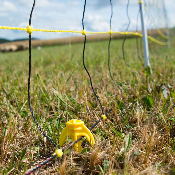 Horinetz, 50M/120Cm, 2Sp