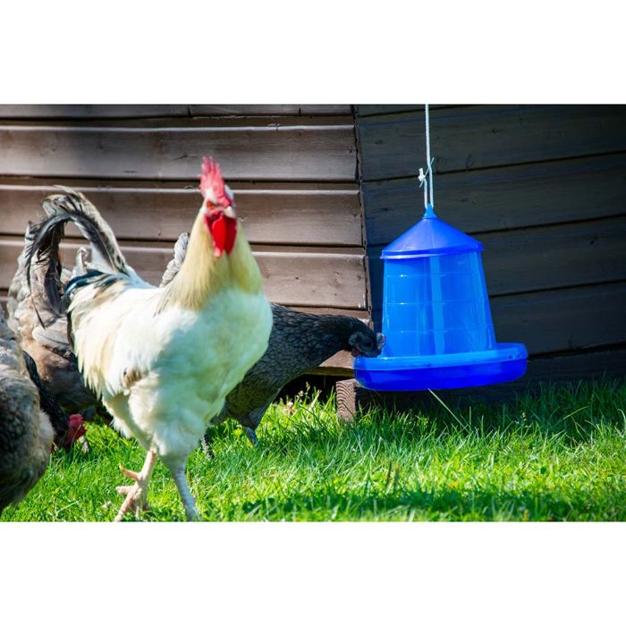 Blue feeder 4 kg 
