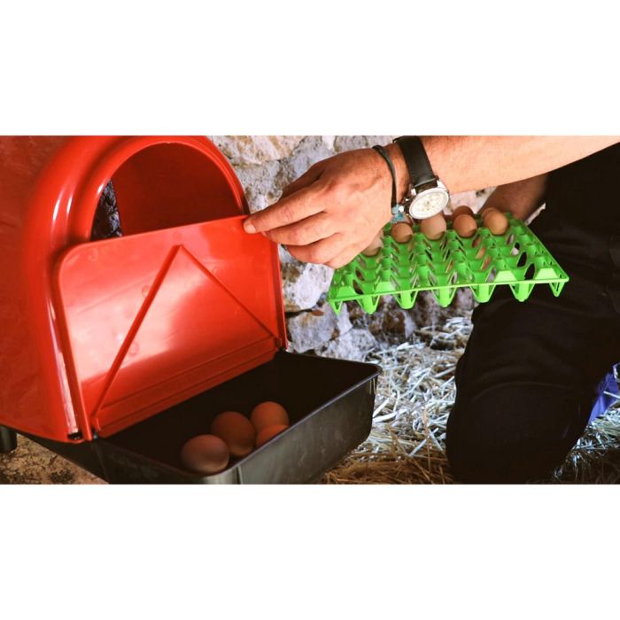Pondoir avec compartiment oeufs COPELE