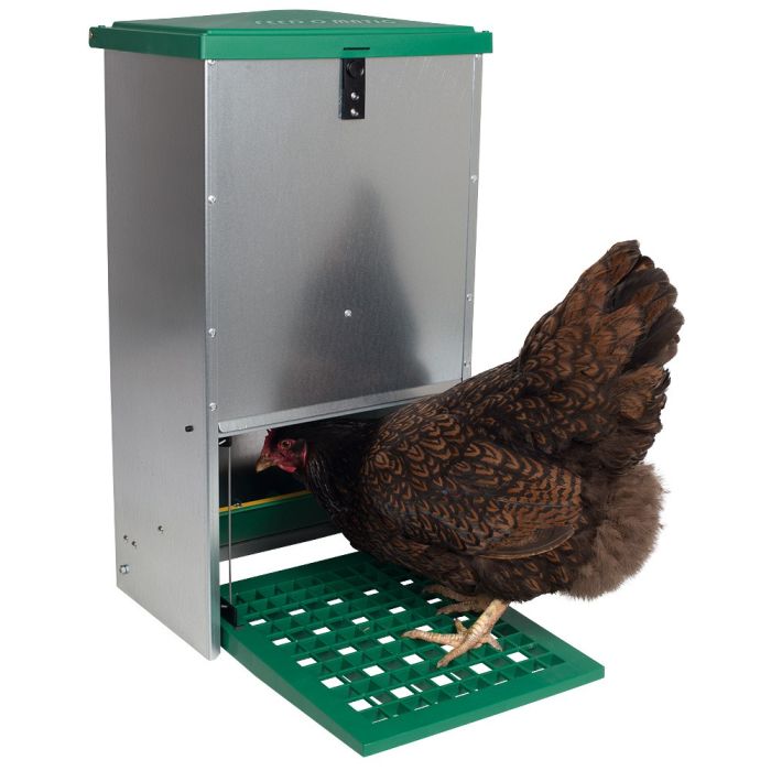 Green line feeder with hopper anti-pests 20 kg