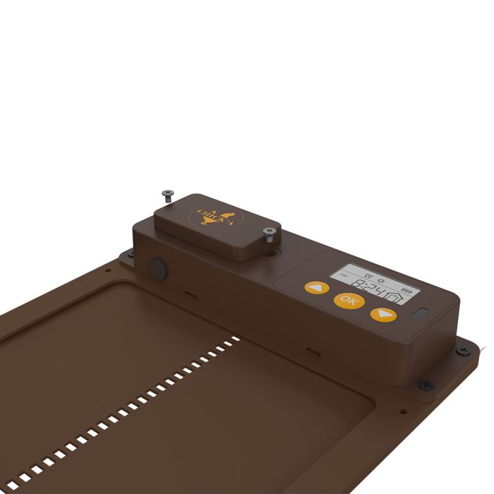 Automatic doorman for chicken coop CHICK'A