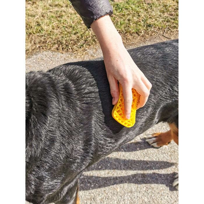 Brosse universelle grands chiens à poils courts PETME 