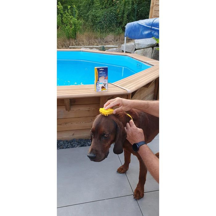 Brosse universelle grands chiens à poils courts PETME 