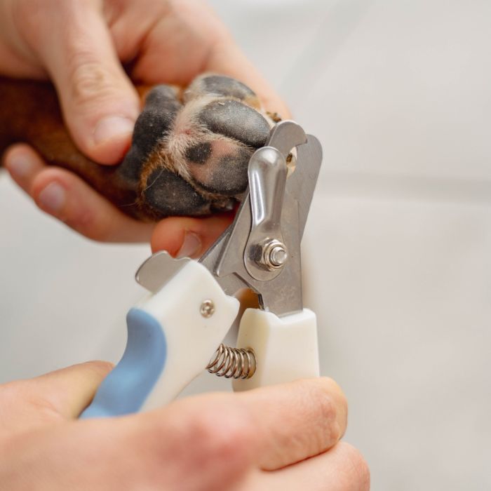 Nail clippers for dogs and cats PURALIA