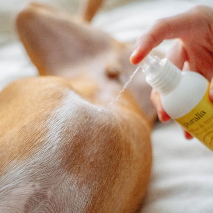 Reinigende und regenerierende Lotion 150 ml PURALIA