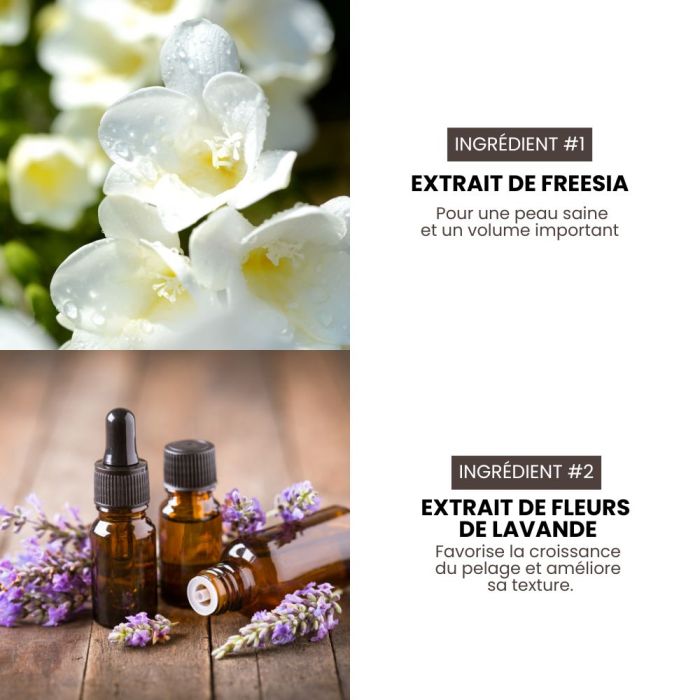 Shampoing volume pro hypoallergénique Premium Grooming Artist pour chiens 3,8 L spécial HYPONIC