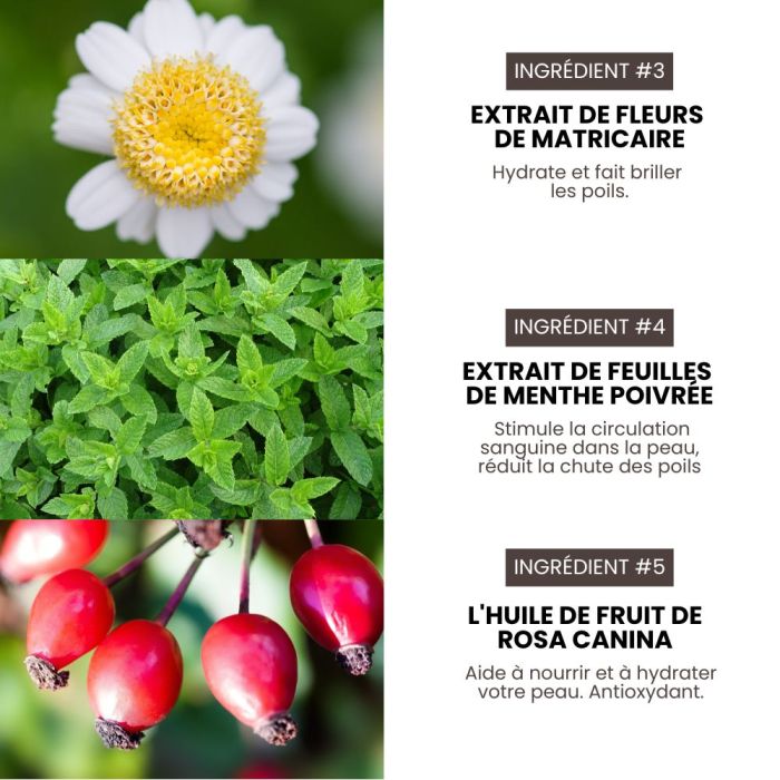 Shampoing volume pro hypoallergénique Premium Grooming Artist pour chiens 3,8 L spécial HYPONIC