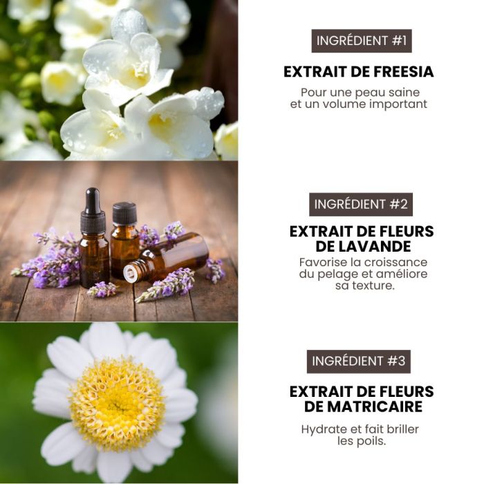 Shampoing intense pro hypoallergénique Premium Grooming Artist pour chiens 3,8 L spécial HYPONIC