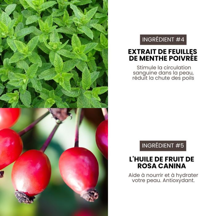 Shampoing intense pro hypoallergénique Premium Grooming Artist pour chiens 3,8 L spécial HYPONIC