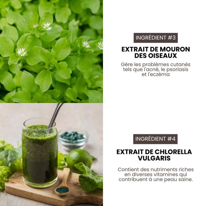 Shampoing pro nettoyant et volume pour chiens 3,8 L HYPONIC