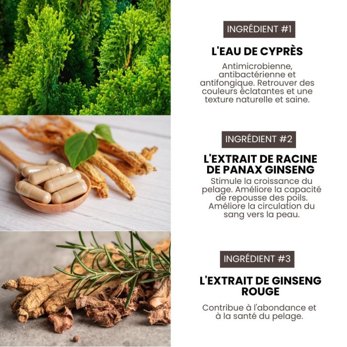 Shampoing pro nettoyant et volume pour chiens de concours 0,5 L HYPONIC