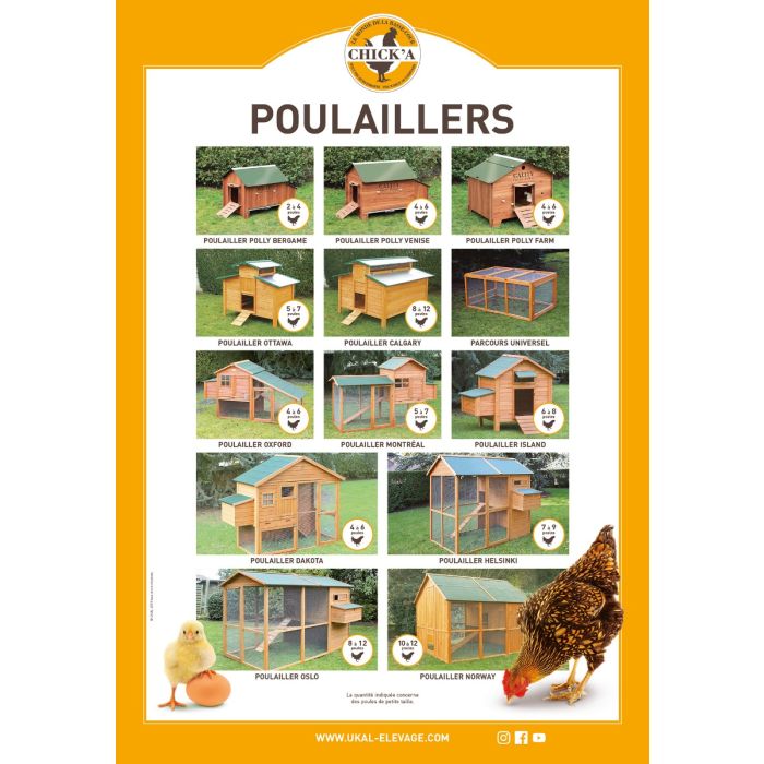 Poster poulaillers CHICK'A