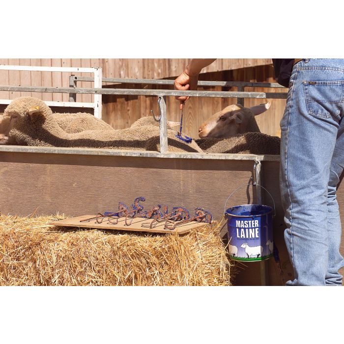 Pot de peinture bleue pour mouton, 4 kg