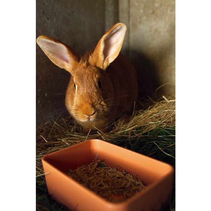 Rectangular plastic feeder